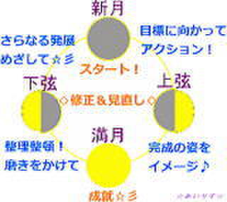 定期便　満月コース
