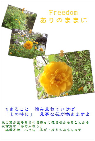 ありのまま