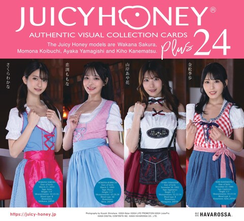 49 栗山莉緒 ジューシーハニー PLUS#14 レギュラーカード 栗山莉緒 JUICY HONEY COLLECTION CARDS PLUS #14 ジューシー