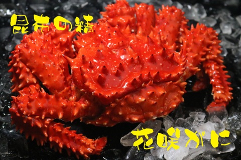 浜茹で花咲がにオス800g前後1尾(チルド)