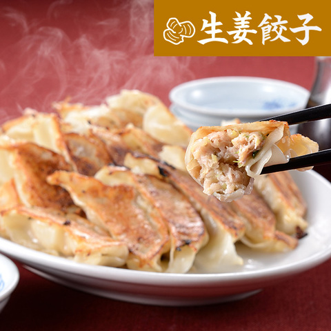 冷凍生姜餃子　20個入り
