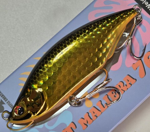 FAT MALIERA （ファットマリエラ）76 S レンズ黒金
