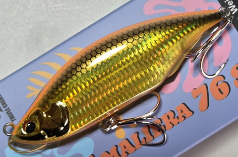FAT MALIERA （ファットマリエラ）76 S オレンジゴールド