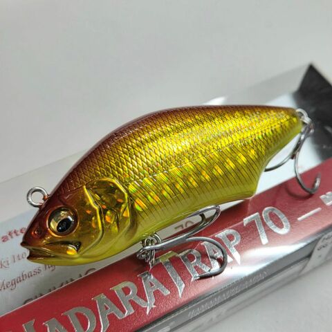 HADARA TRAP（ハダラトラップ）70  GG アカキンCB