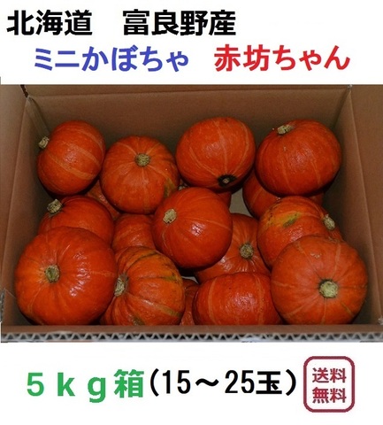 有機栽培　ミニかぼちゃ（赤）坊ちゃん５ｋｇ（15～25玉入）