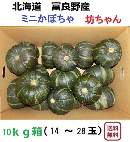 有機栽培　ミニかぼちゃ　坊ちゃん１０ｋｇ（14～３０玉入）