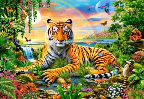 【3-11】A2虎と虹　動物の楽園