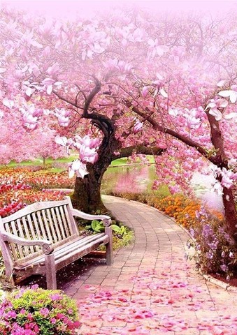 【4-26】A2　Squara 春のベンチ　桜花