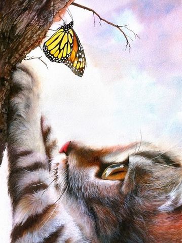 【1-199】A4square　蝶と遊ぶ猫