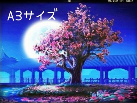【2-42】A3 Square 月夜の桜大樹 