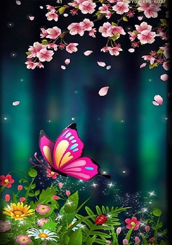 【1-121】A3   round  花びらと美しいピンクの蝶