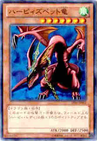 ハーピィズペット竜 NP [AT01]