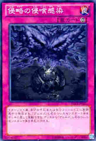 侵略の侵喰感染 N  [DS13-D]