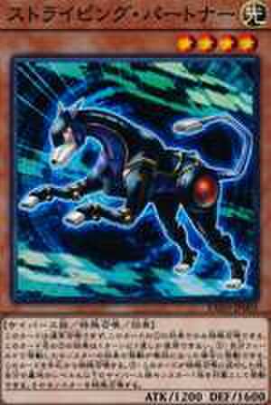 ストライピング・パートナー N [EXFO-JP003]