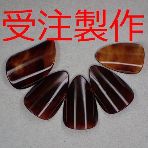 本鼈甲　pípá Nail　琵琶指甲 