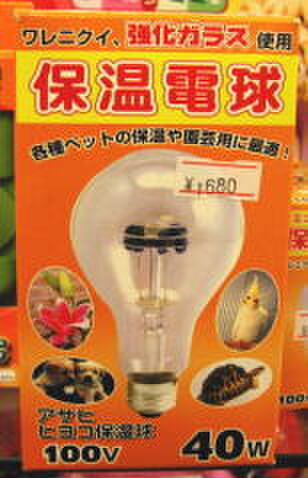 アサヒ　保温電球　４０W　--