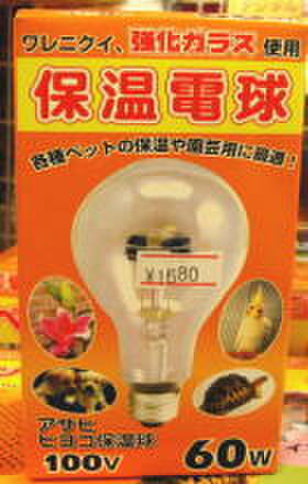 アサヒ　保温電球　６０W　--