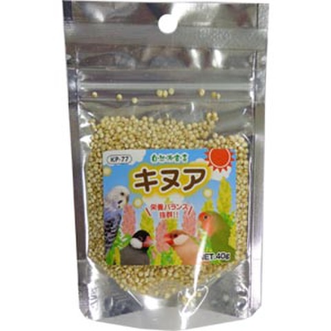 自然派宣言 キヌア　40g