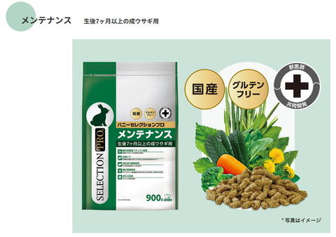 バニーセレクション　プロ　メンテナンス　900ｇ