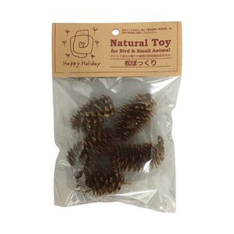P2 Natural Toy 松ぼっくり 5個入  