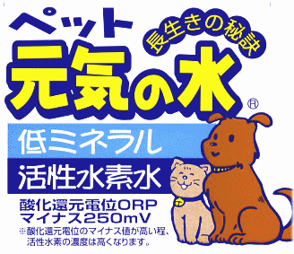 ペット元気の水　2L　--