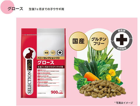 バニーセレクション　プロ　グロース　900ｇ