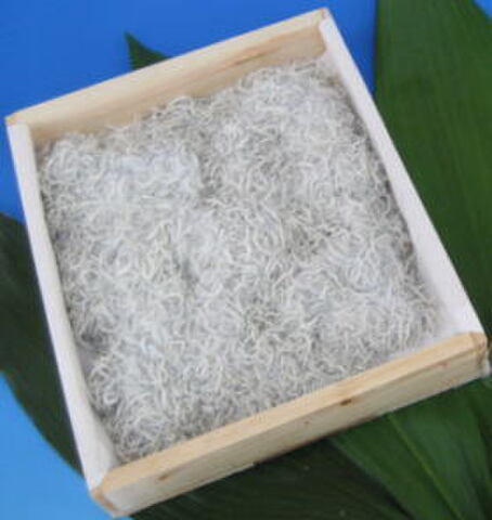 80 釜揚げしらす500ｇ