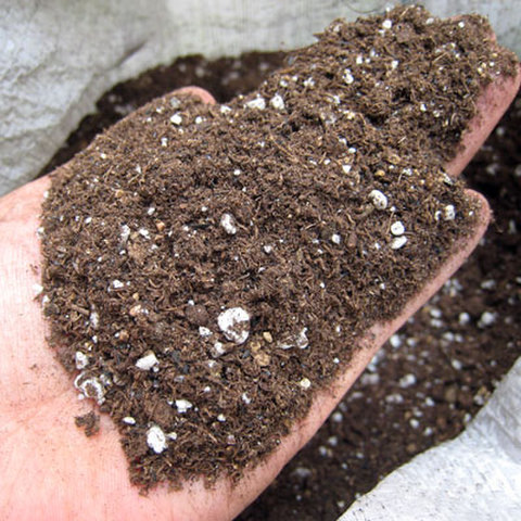 甲子園の土】4kg 種まきの土 25L OI | 用土・肥料 通販 | ホームセンターの