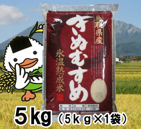 令和5年産鳥取県産氷温熟成きぬむすめ5kg