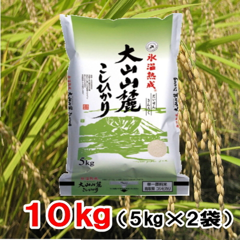 令和5年産氷温熟成大山山麓こしひかり10㎏