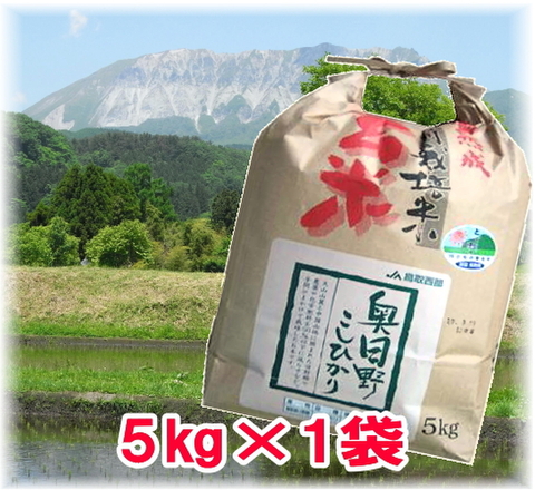 【玄米】令和5年産氷温熟成特別栽培米奥日野こしひかり5㎏（5kg×1袋）