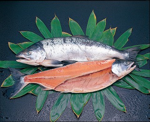 北洋産紅鮭 1本 約2.0kg ～ 約2.2kg（切り身）