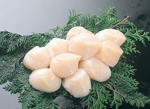 【生食用】冷凍帆立貝柱・Mサイズ・1kg（化粧箱入れ）