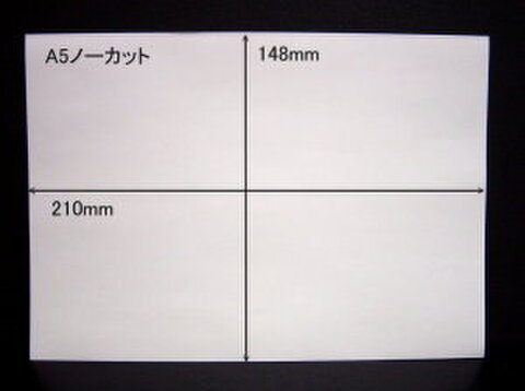 ノーカットタックシールA5サイズ　10枚パック【送料無料】