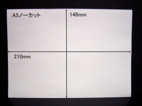 ノーカットタックシールA5サイズ　100枚パック【送料無料】