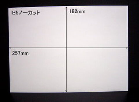 ノーカットタックシールB5サイズ　100枚パック【送料無料】