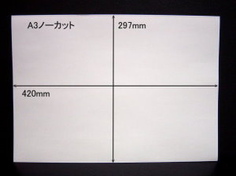 ノーカットタックシールA3サイズ　100枚パック　【送料無料】