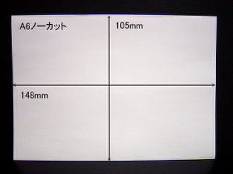 ノーカットタックシールA6サイズ　100枚パック【送料無料】