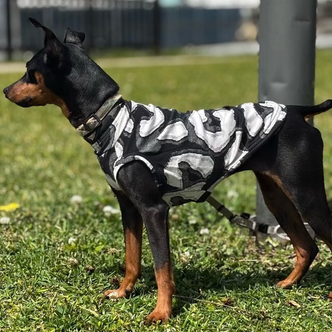 大きいヒョウ柄[黒]