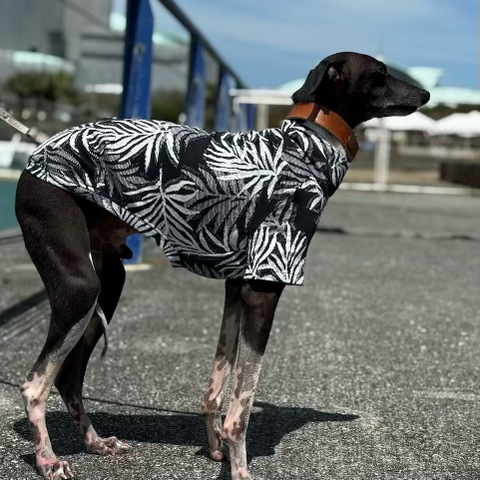 リーフジャガード[黒]