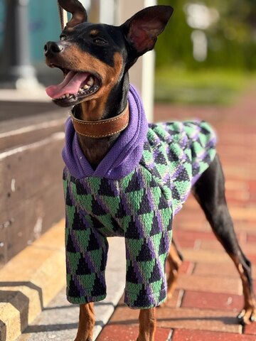 サンカクジャガード[紫]