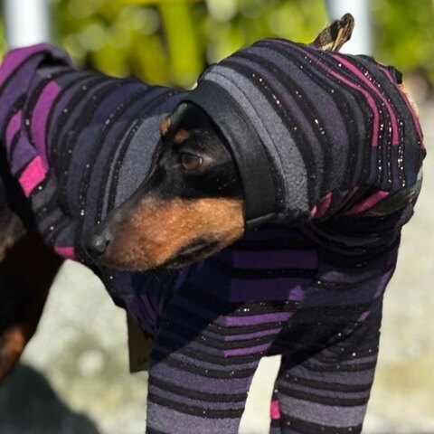 ハンドメイド ミニピン服・イタグレ服・犬服のお店：LANADOG