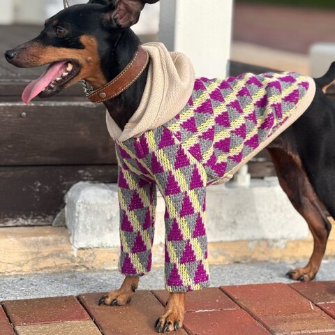 商品一覧 - ハンドメイド ミニピン服・イタグレ服・犬服のお店：LANADOG