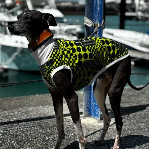 ドットスクエア[黄緑]