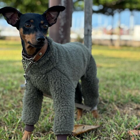 ウールボアロンパース[カーキ]