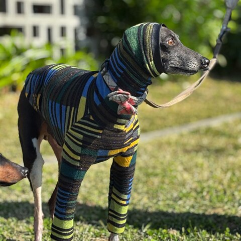 ラメモザイク[黄緑]