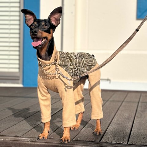 商品一覧 - ハンドメイド ミニピン服・イタグレ服・犬服のお店：LANADOG