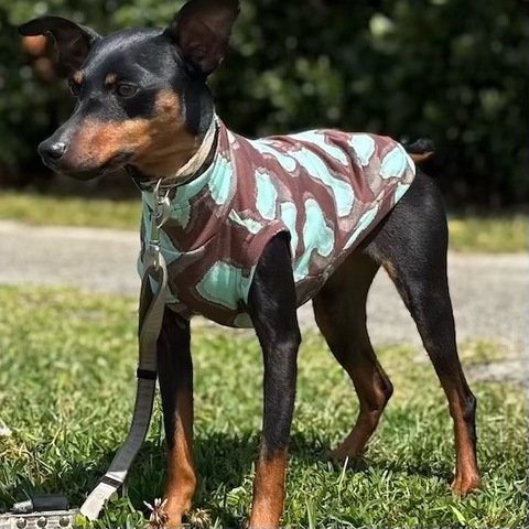 大きいヒョウ柄[茶]