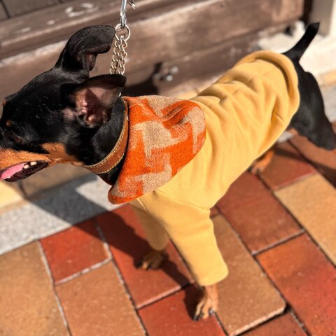 裏起毛フーディー[たまご]