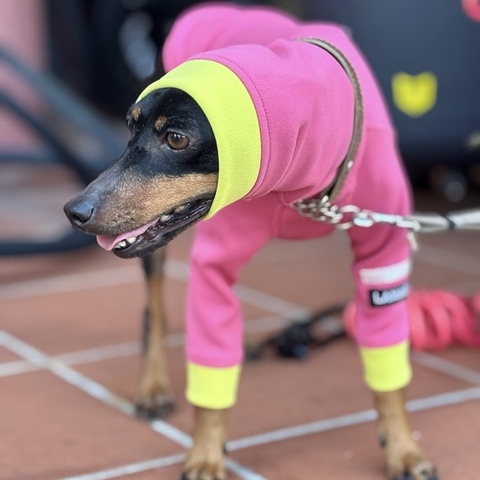 WAMELLスムース[ピンク]